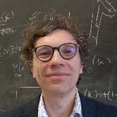 Stefano Zapperi