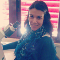 Rita Domingues